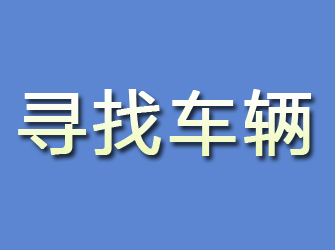 振安寻找车辆